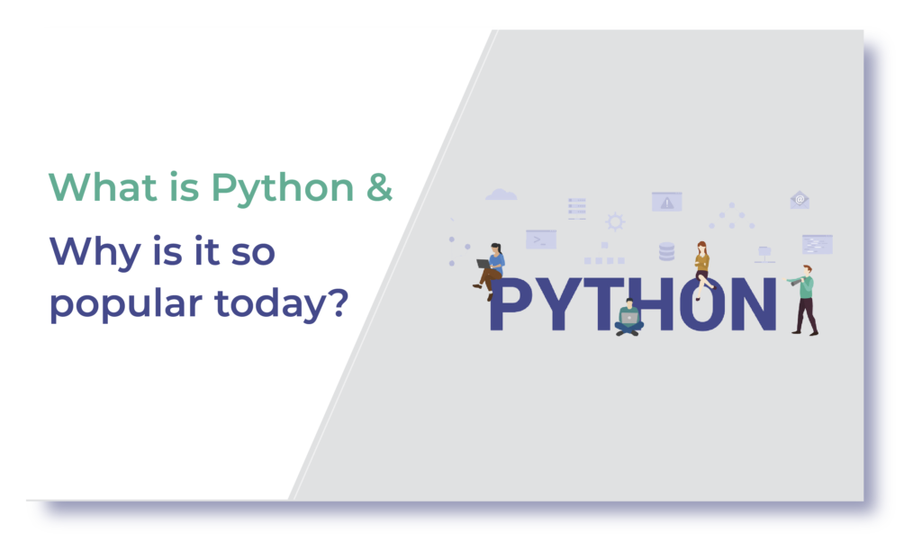 What is Python and Why is it so popular today?