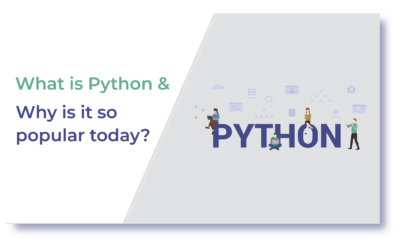 What is Python and Why is it so popular today?