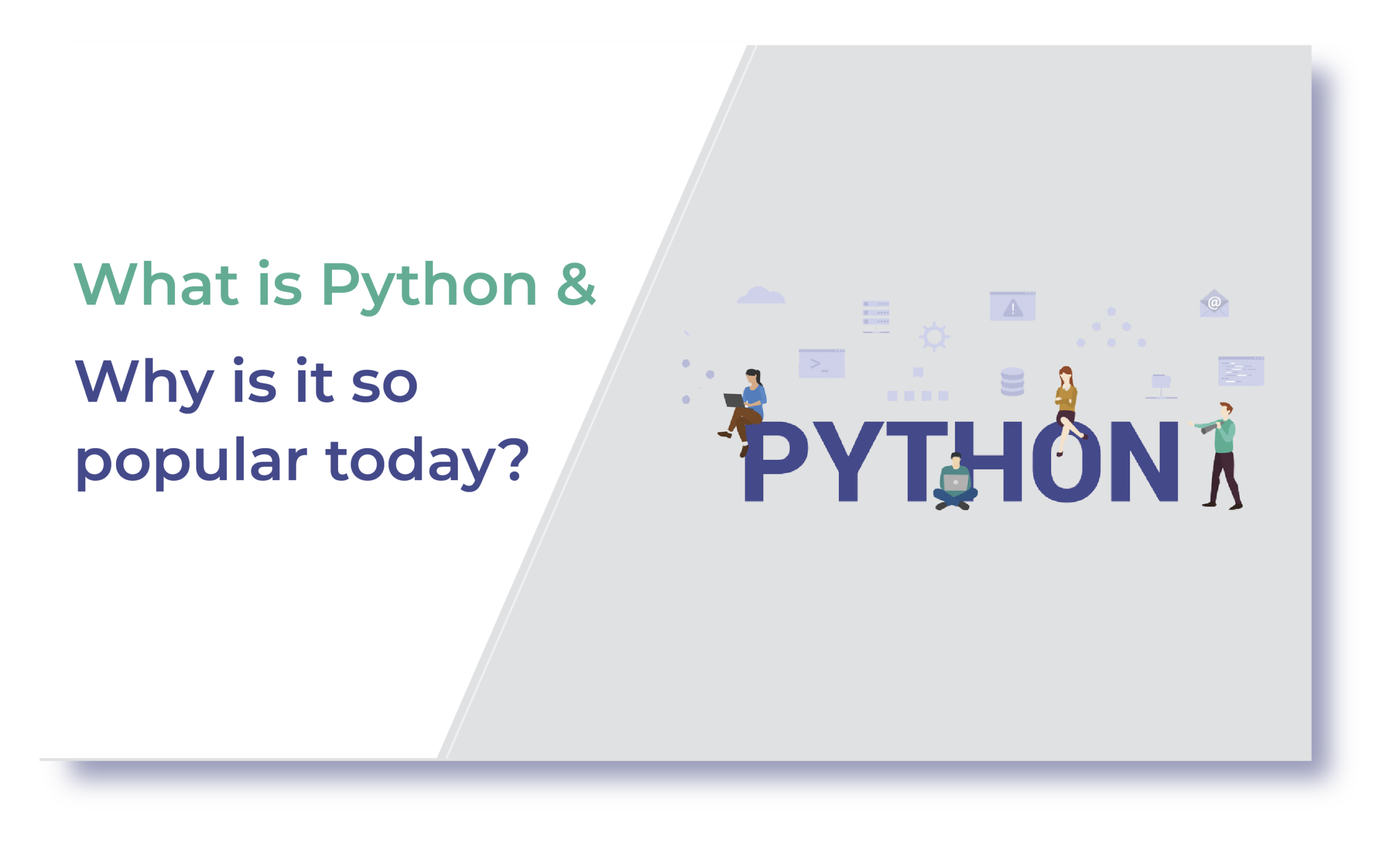 what-is-python-and-why-is-it-so-popular-today-thomsun-infocare