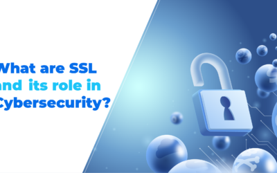 What are SSL and its role in Cybersecurity?