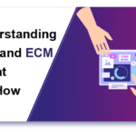Understanding CMS and ECM – What and How